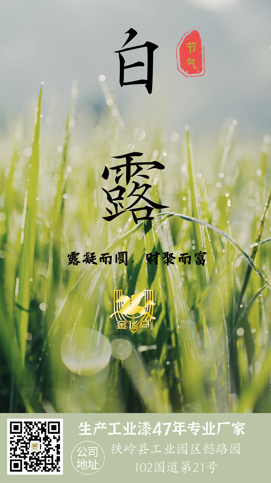 白露(1).png